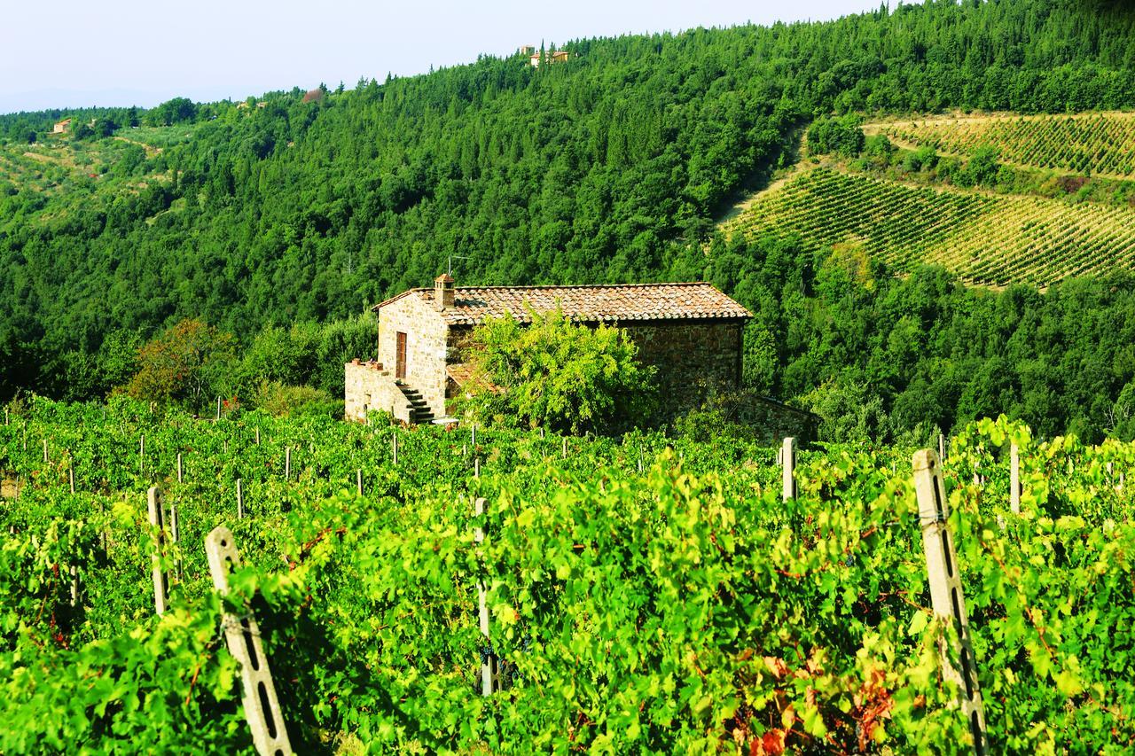 Agriturismo Piemaggino Кастелина ин Шианти Экстерьер фото