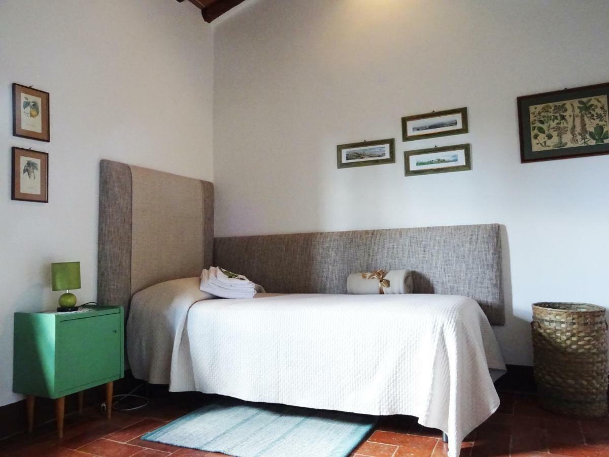 Agriturismo Piemaggino Кастелина ин Шианти Экстерьер фото